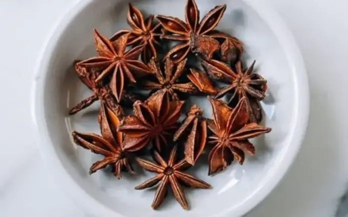 Investigadora UASD descubre gran diversidad de anís de estrella endémico