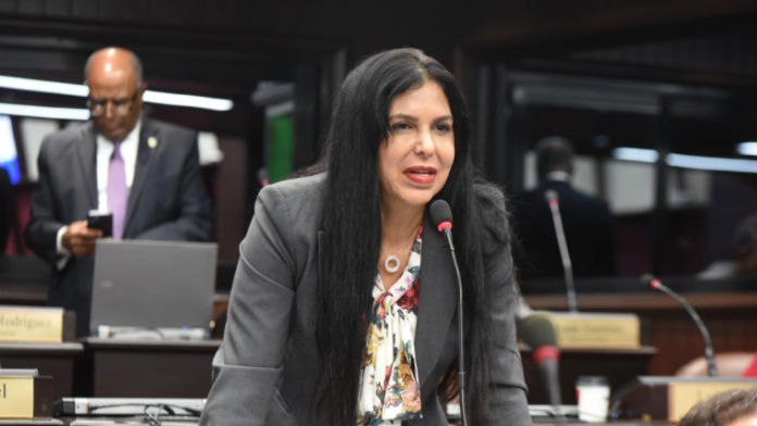 Diputada Pilarte López presenta recurso de casación ante la SCJ