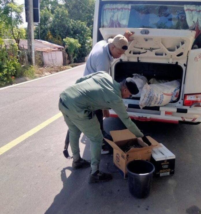 Incautan cargamento de mariscos en veda eran transportados en autobús de pasajeros