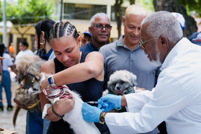 Las autoridades indicaron que, en zonas donde el virus es endémico como es el caso de República Dominicana, la vacunación desde los 15 días de nacidos es recomendada por la Organización Panamericana de la Salud (OPS/OMS)