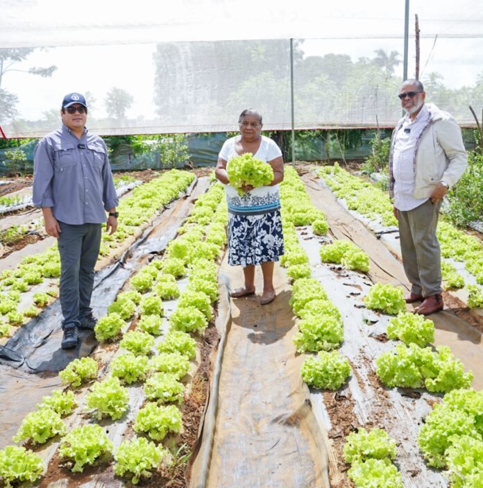 Desarrollo de la Comunidad y FAO buscan relanzar proyectos agroalimentarios Desarrollo de la Comunidad y FAO buscan relanzar proyectos agroalimentarios
