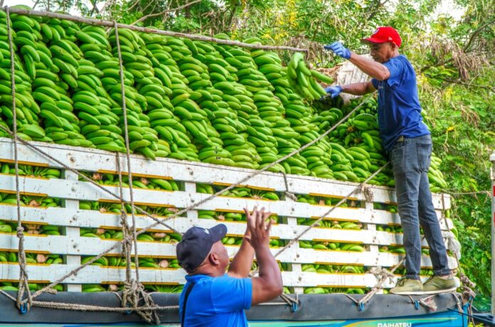 Inespre llega al sur profundo este fin de semana con su Ruta Alimentaria
