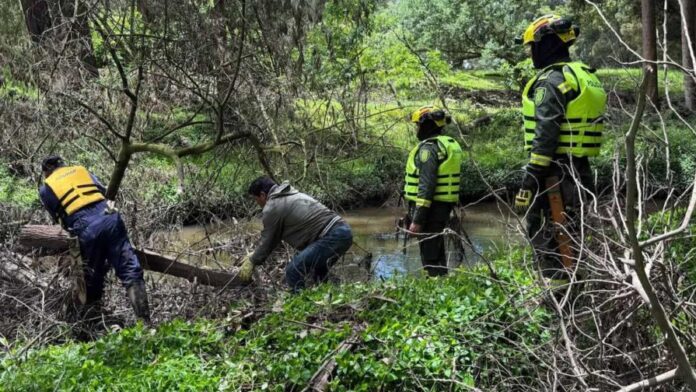 Encuentran sin vida a niña colombiana de diez años desaparecida hace 18 días