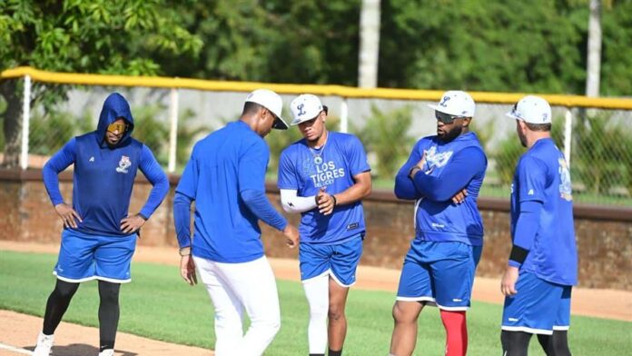 Jugadores de los Tigres del Licey durante la sesión de entrenamientos del lunes 29 de septiembre 2025 en la International Prospect League. (FUENTE EXTERNA)
