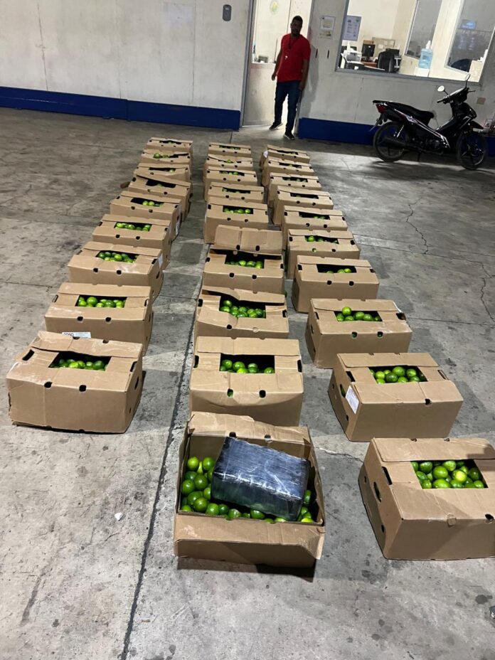 Incautan 201 paquetes de presunta cocaína camuflados en cajas de limones