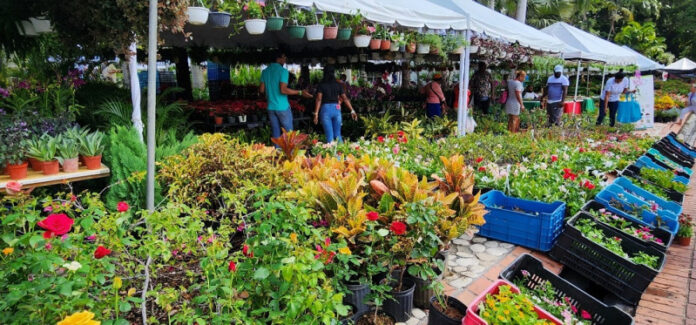 Jardín Botánico celebra a la naturaleza en Festival Nacional de Plantas y Flores