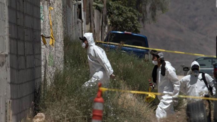 La Fiscalía del estado norteño de Chihuahua dijo que en la región conocida como "El Willi", del municipio de Casas Grandes, cercano a la frontera con el estado de Sonora, México, fueron localizadas "10 fosas clandestinas con 19 cuerpos, de los cuales 7 son osamentas". (FUENTE EXTERNA)