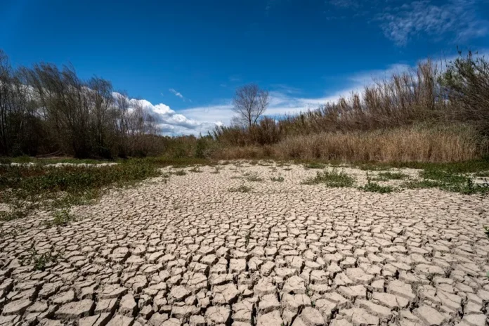 La ONU predice un calentamiento global sin precedentes en los próximos cinco años