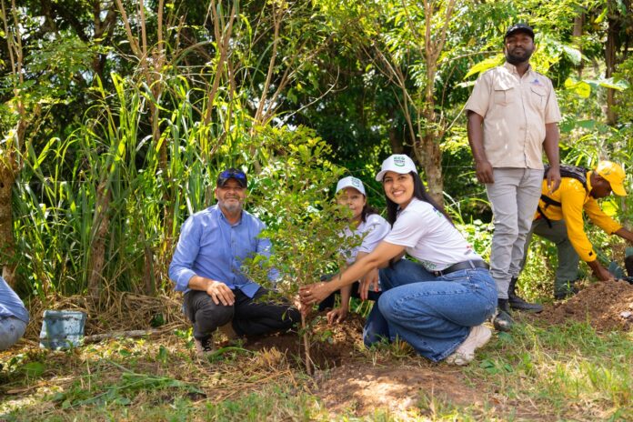 Diputada Daritza Zapata respalda jornada de reforestación que impulsa identidad ecoturística en Dajabón