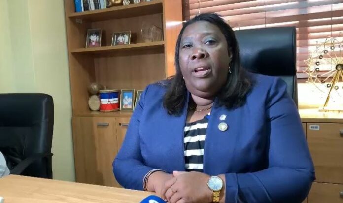 Diputada Dulce Rojas denuncia colapso de SDN y pide la intervención urgente del Gobierno