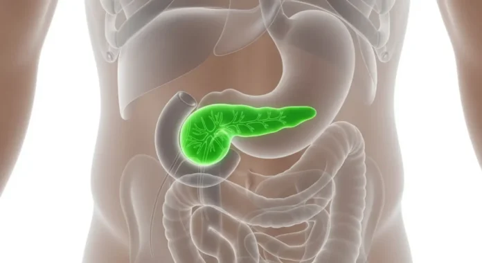 Estudio propone terapias diferenciadas para cada tipo de cáncer de páncreas tras nuevo hallazgo biológico