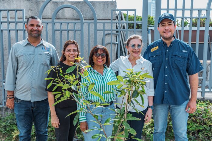 En gestión de Carolina Mejía se han incorporado al sistema de áreas verdes más de 110 mil árboles y plantas