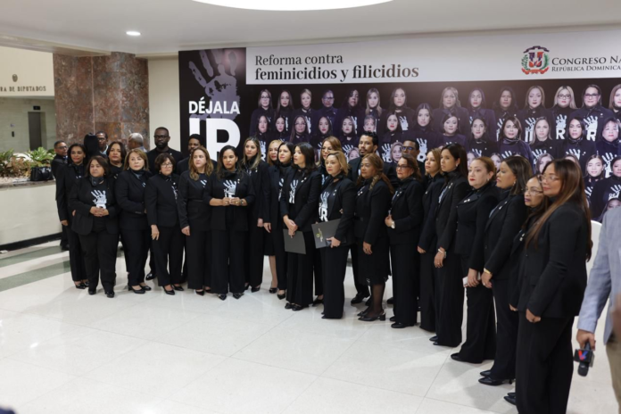 ¡La dejaron ir! Pasó otra legislatura sin que se apruebe reforma integral para erradicar feminicidios en RD