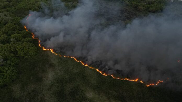 Incendio forestal afecta extensa área de la Laguna Mallén en San Pedro de Macorís